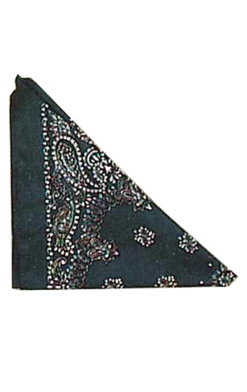 Bristol Novelty Book Characters Blue Bandana Accessory