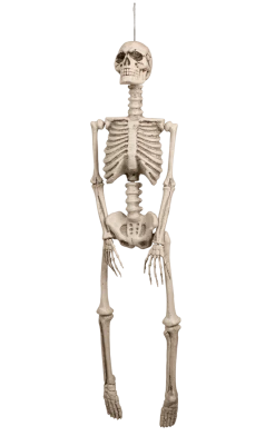 Boland Skeleton Halloween Decoration All Party Decorations And Props