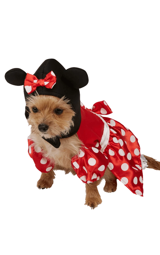 New ⌛ Rubies Minnie Mouse 🦮 Dog Costume Book Characters 💯 1 Rubies Minnie Mouse Dog Costume Book Characters