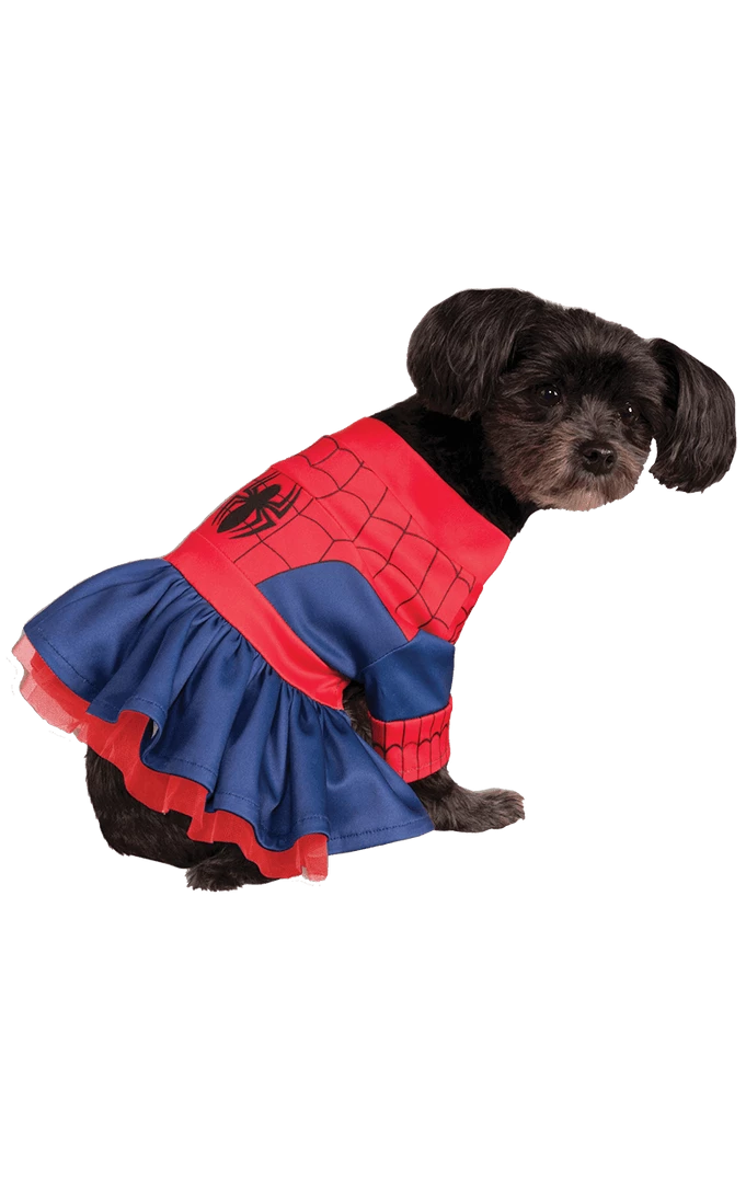 Best deal 🛒 Rubies Spider-Girl 🦮 Dog Costume 👏 1 Rubies Spider-Girl Dog Costume