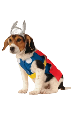 Rubies Movies Thor Dog Costume