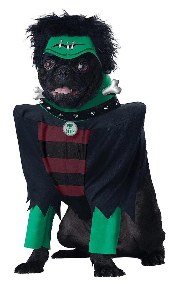 Budget ๐ California Costumes Frankenup ๐ฆ Halloween ๐ Dog Costume ๐ 1 California Costumes Frankenup Halloween Dog Costume