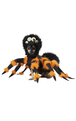 California Costumes Spider Dog Costume Animals