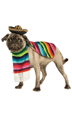 Rubies Around The World Mexi-canine Dog Costume