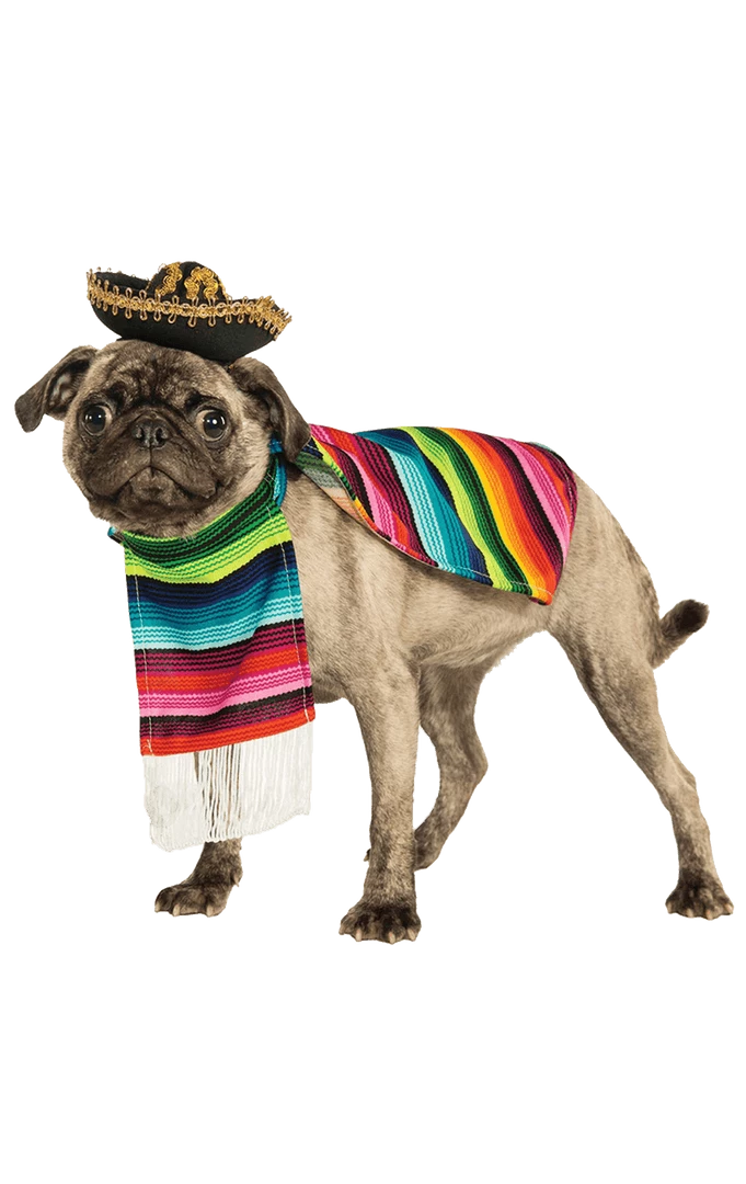 Budget ✨ Rubies Around The World Mexi-canine 🐶 Dog Costume 🤩 1 Rubies Around The World Mexi-canine Dog Costume