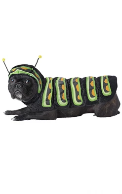 California Costumes Animals Caterpillar Dog Costume