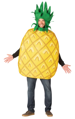 Rasta Imposta Adults Pineapple Costume