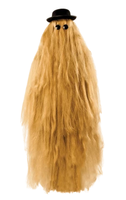 Orion Costumes Adult Hairy Relative Costume
