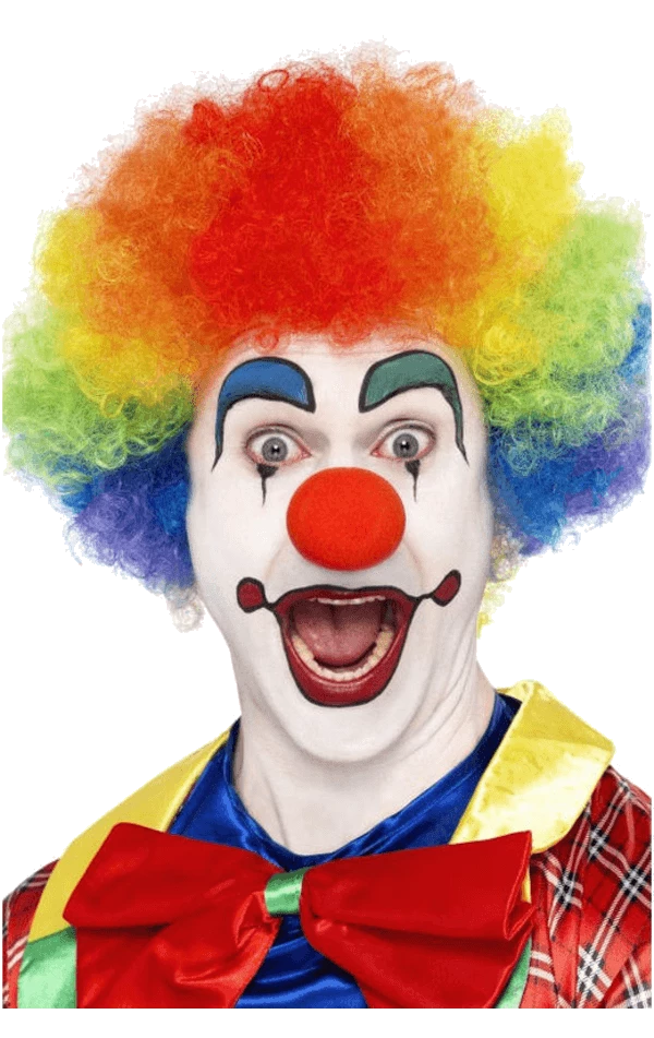 Deals ⭐ Bristol Novelty Circus Rainbow Clown Afro Wig 👏 2 Bristol Novelty Circus Rainbow Clown Afro Wig