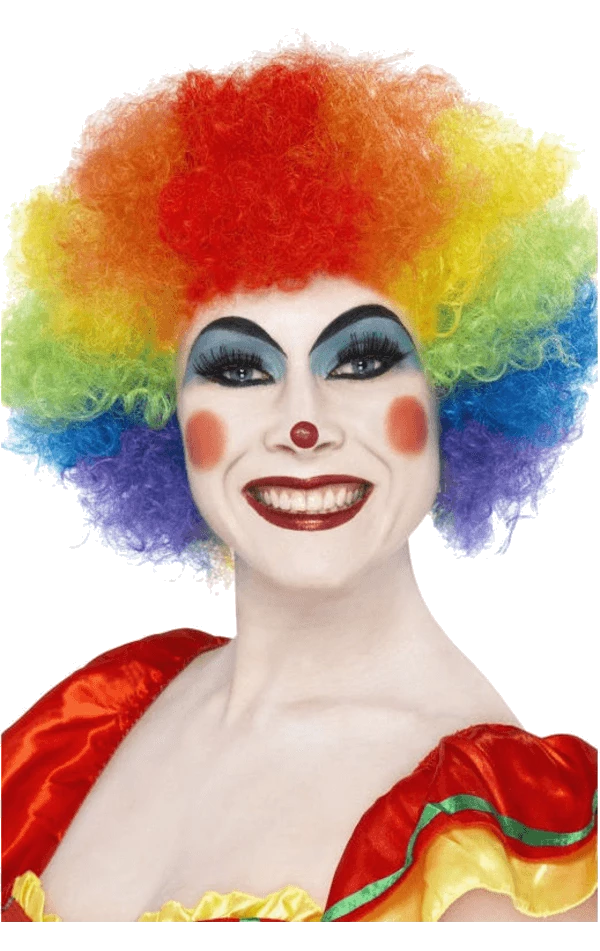 Deals ⭐ Bristol Novelty Circus Rainbow Clown Afro Wig 👏 1 Bristol Novelty Circus Rainbow Clown Afro Wig