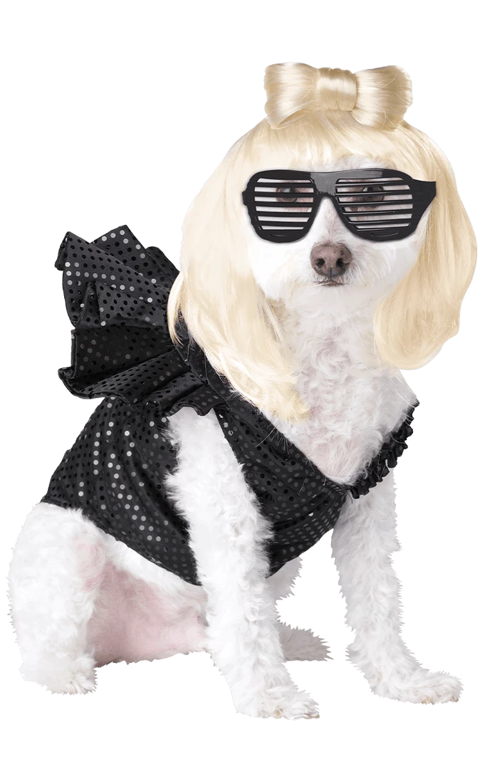 Cheapest ⌛ California Costumes Lady Gaga 🦮 Dog Costume 🔥 1 California Costumes Lady Gaga Dog Costume