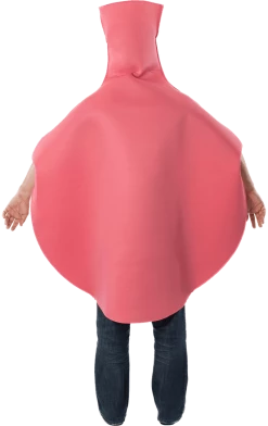 Best Pirce 🎁 Orion Costumes Adult Whoopee Cushion Novelty Cushion 🌟 5 Orion Costumes Adult Whoopee Cushion Novelty Cushion