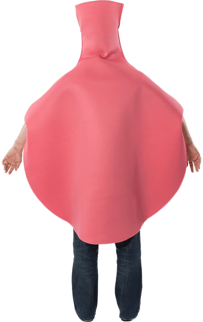 Best Pirce 🎁 Orion Costumes Adult Whoopee Cushion Novelty Cushion 🌟 3 Orion Costumes Adult Whoopee Cushion Novelty Cushion