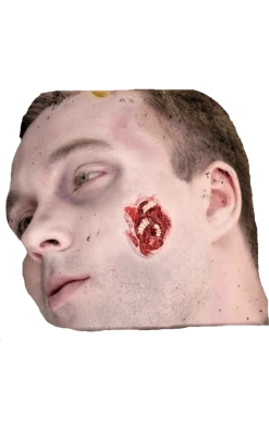 Mask World All Accessories Maggots Feast Prosthetic Make Up Kit