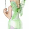 Smiffys Fairies Green Butterfly Wings And Wand
