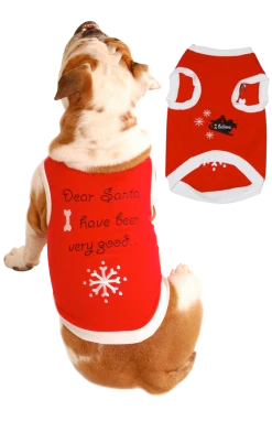 Pet London Dear Santa Dog Costume Christmas