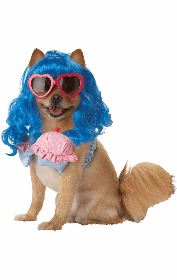 Deals 💯 California Costumes Music & Pop/Rock Stars California Girl Katy Perry 🦮 Dog Costume 👍 1 California Costumes Music & Pop/Rock Stars California Girl Katy Perry Dog Costume